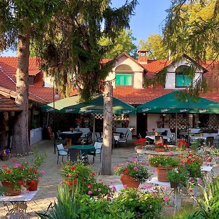 Hotel Talizman Etterem Panzio Miszkolc Zewnętrze zdjęcie